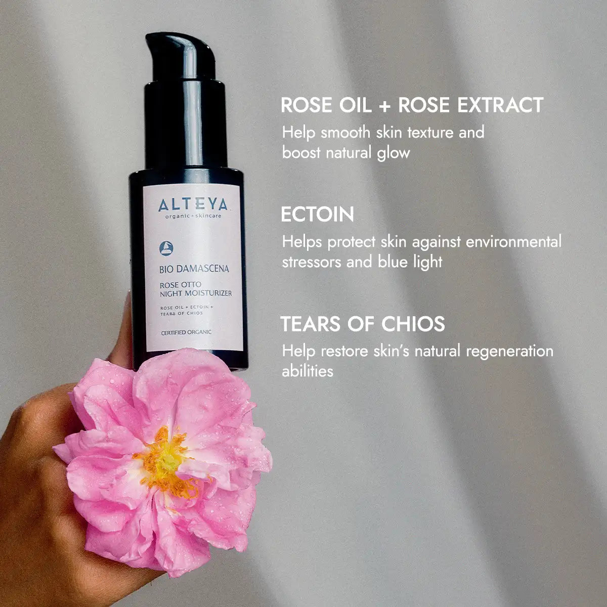 Bio Damascena Organic Rose Otto Night Moisturizer – 50ml