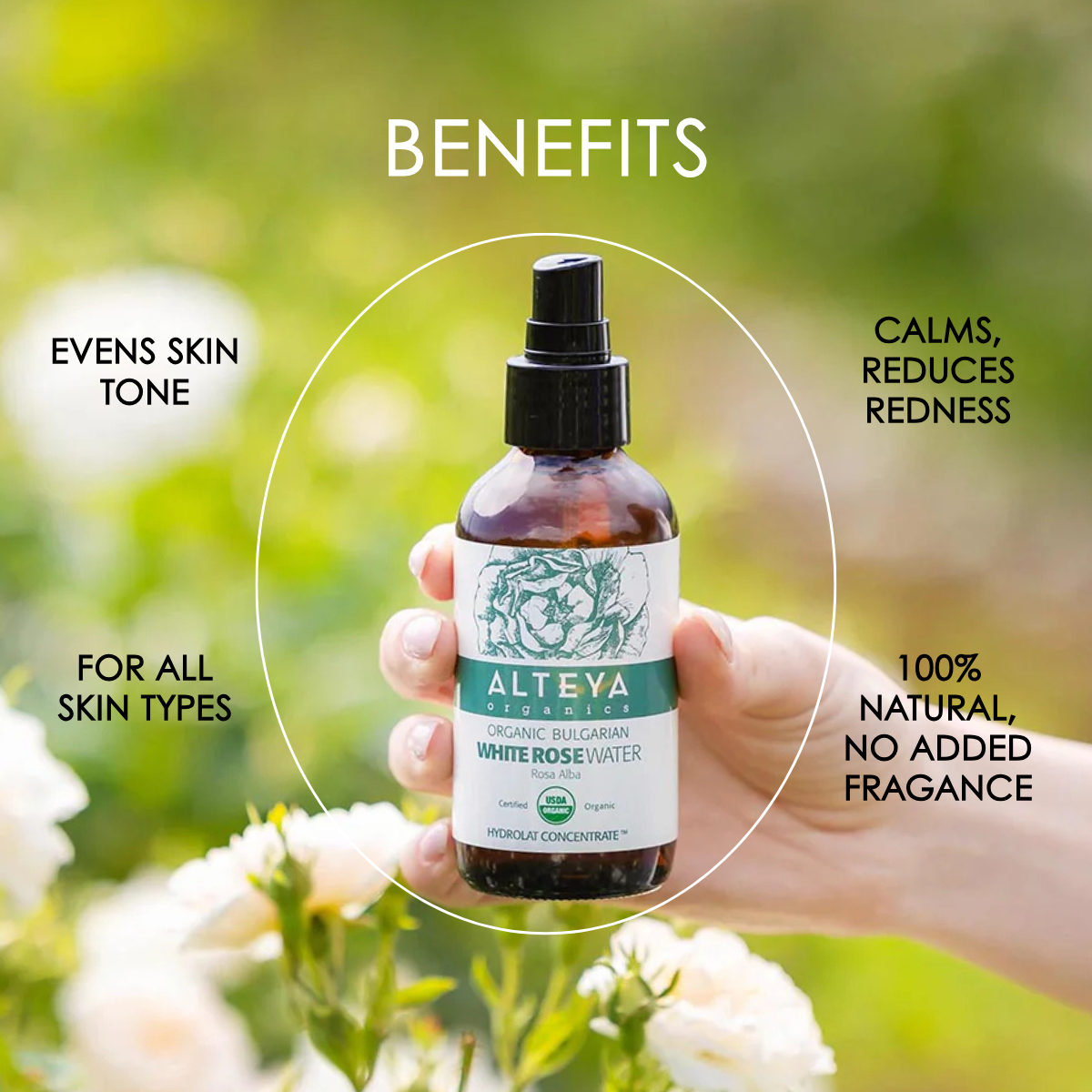 Organic Bulgarian White Rose Water Spray - Rosa Alba (100% Hydrolat)