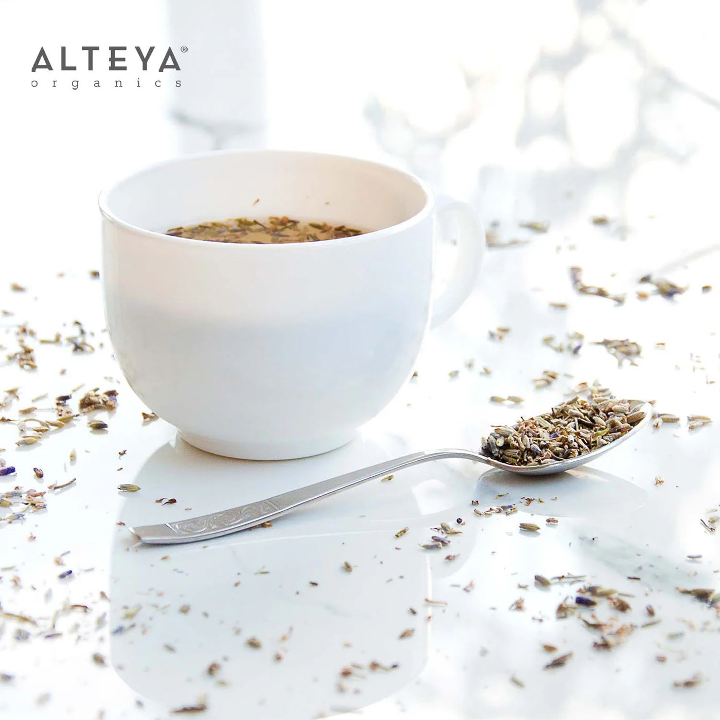 Organic Lavender flowers