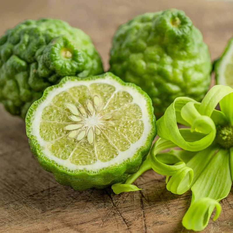 Organic Bergamot Essential Oil